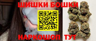 индика Краснознаменск