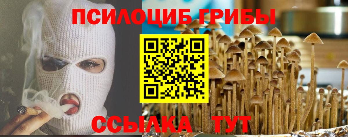 Кашира  Псилоцибиновые грибы мицелий  Вход с VPN 